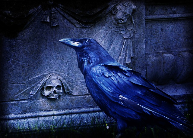 composing-raven-dark-cemetery-night-bird